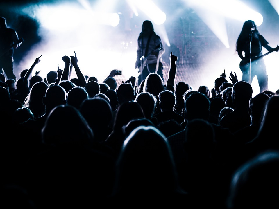 Audience at a rock concert