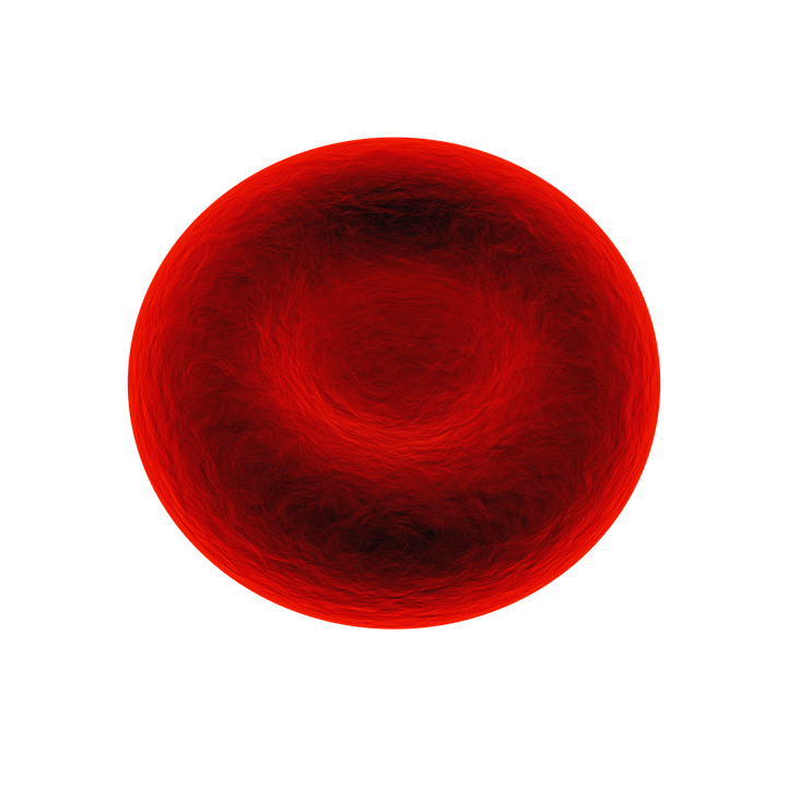 A computer generated image of a red blood cell