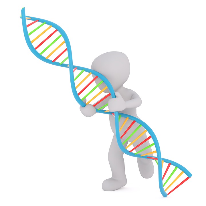 A figure pulling apart strands of DNA
