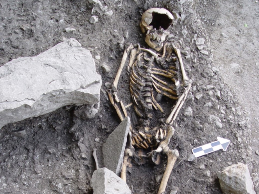 Ancient hunter gatherer skeleton from the Balkans. These people were already gathering cereals before farming arrived in the region
