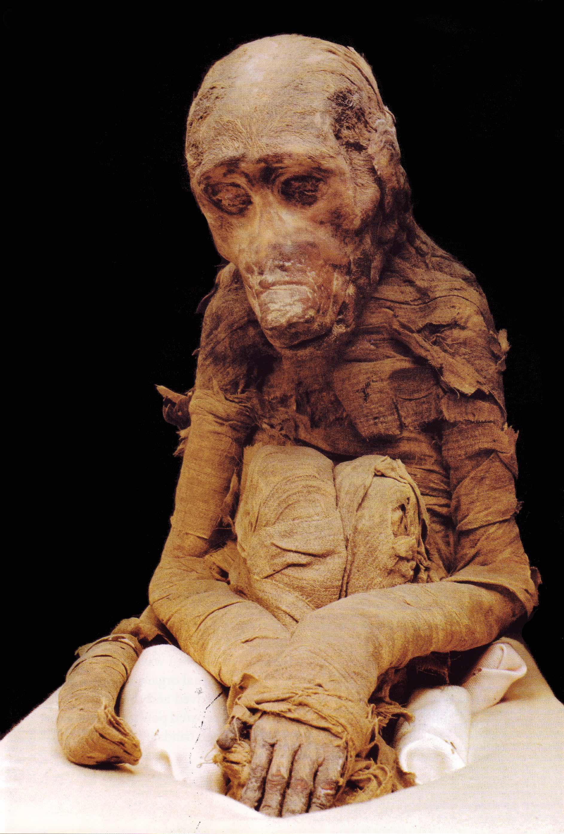 Baboon mummy