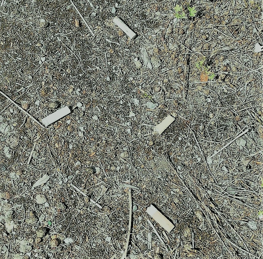 Discarded cigarette butts left on the ground