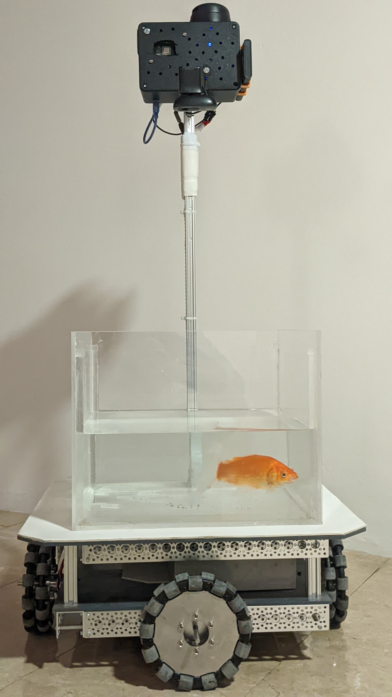 Fish in a tank on wheels