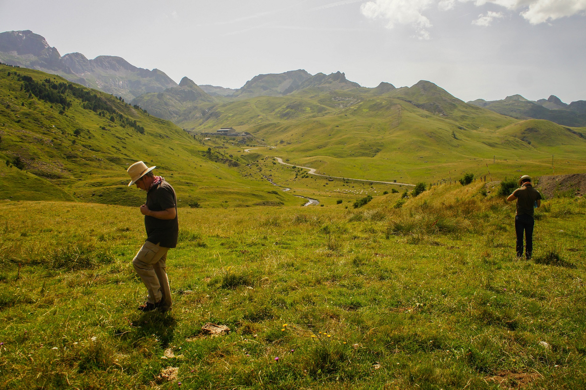 Hunting grasshoppers in the Pyrenees