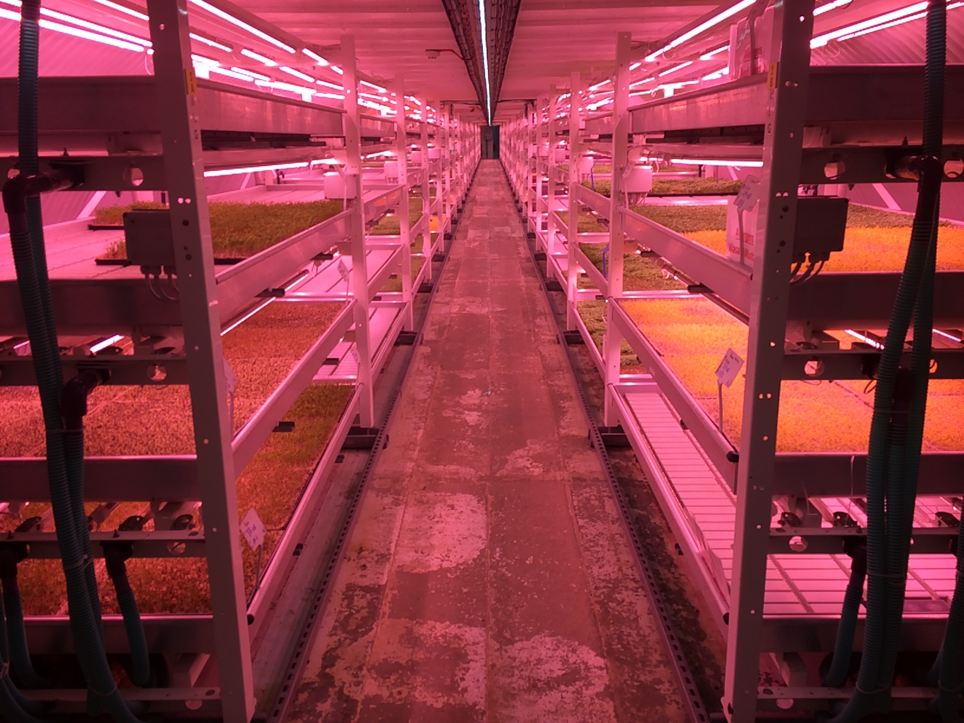 underground farm