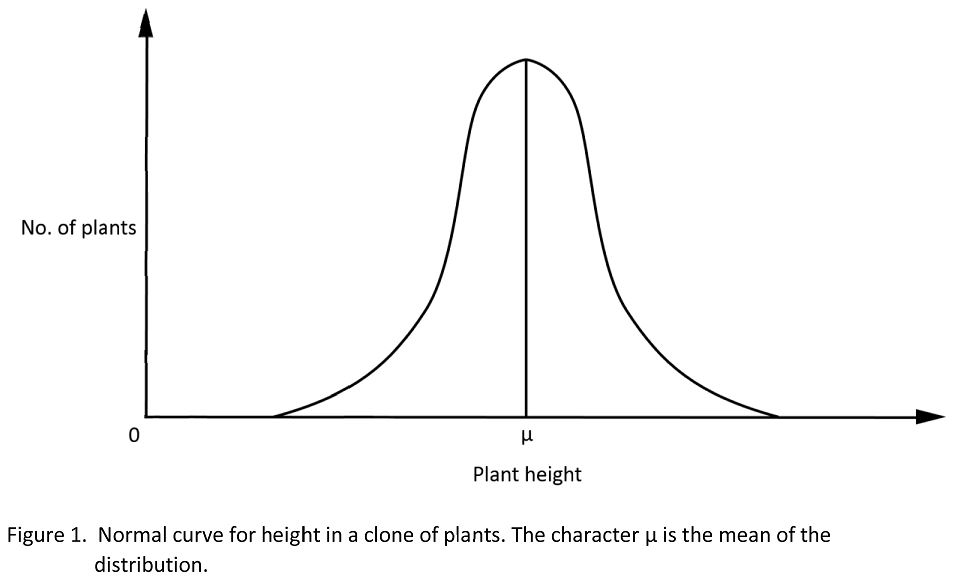 Plant height for clone follows a Normal distribution.
