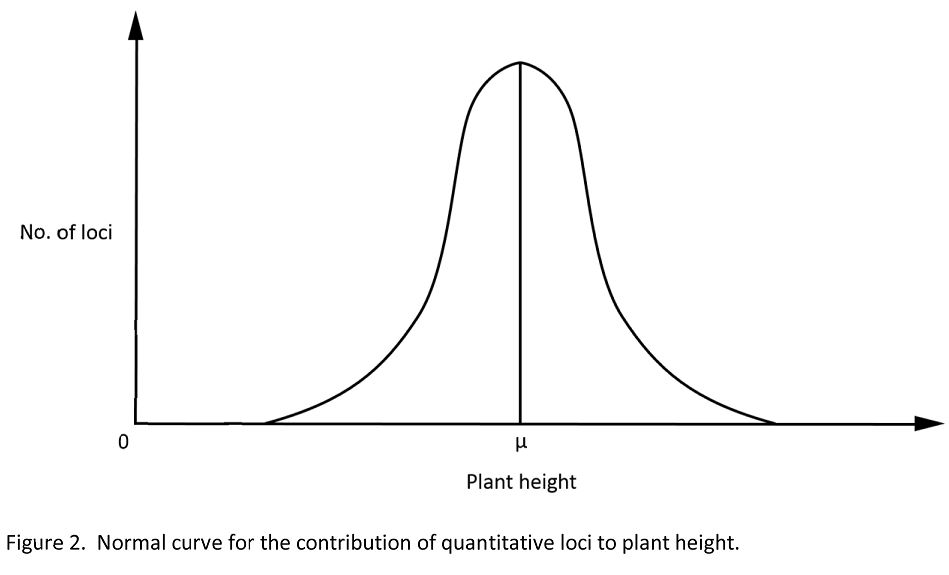 Normal curve for the contribution of quantitative loci in plants.