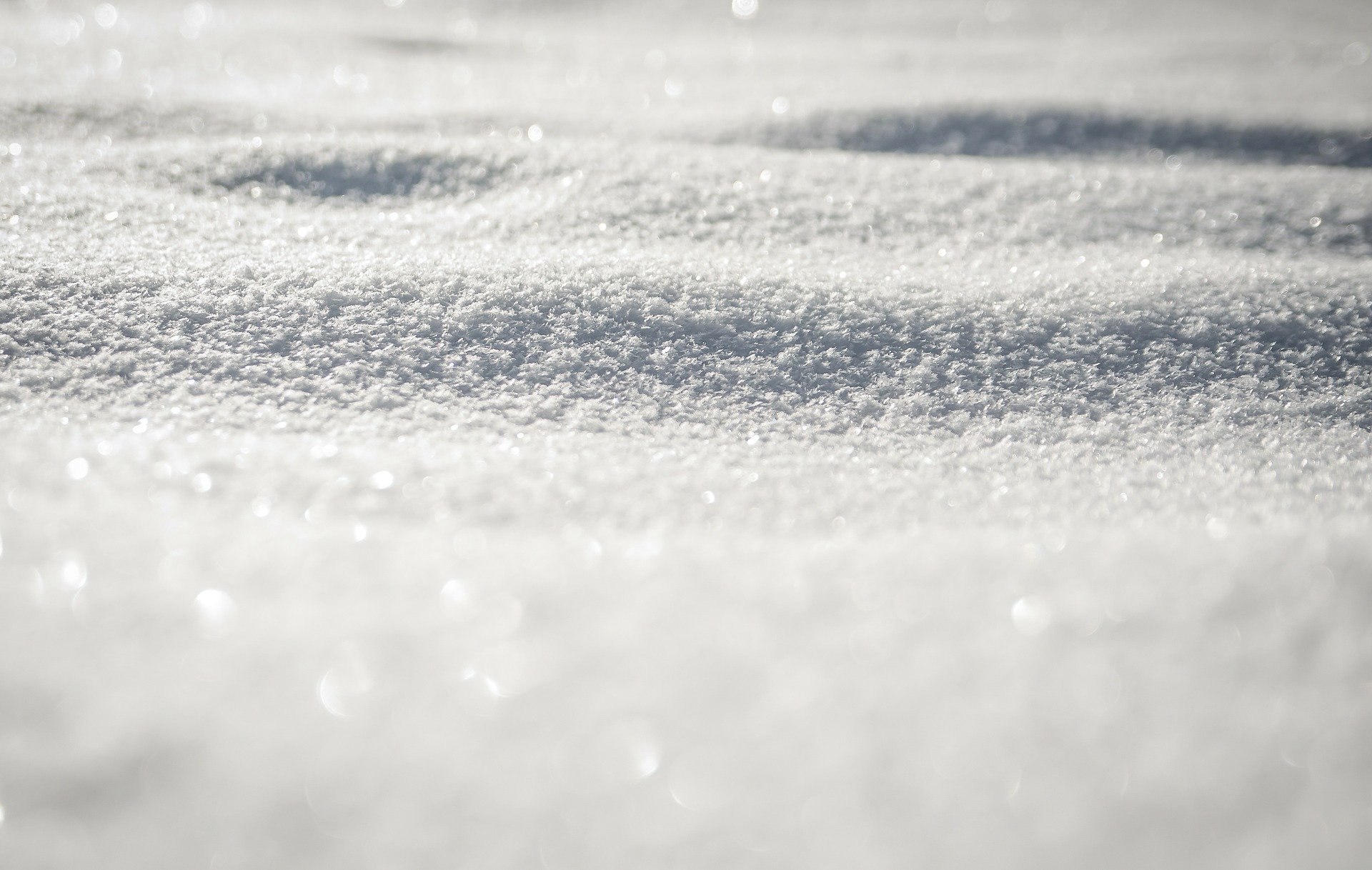 Close-up view of fresh snow.