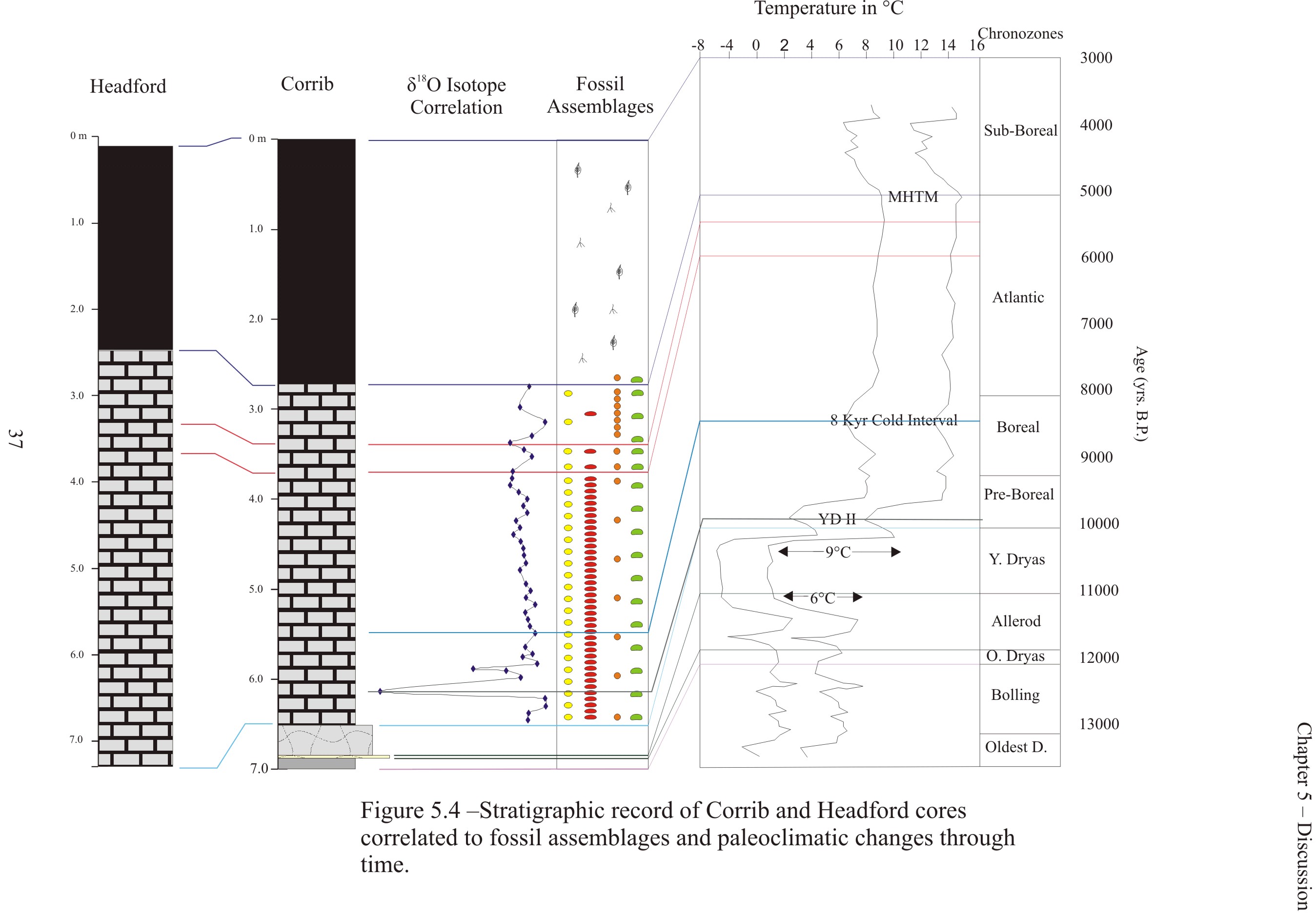 Computer representations of the lithology of the Hedford and Corrib Cores 