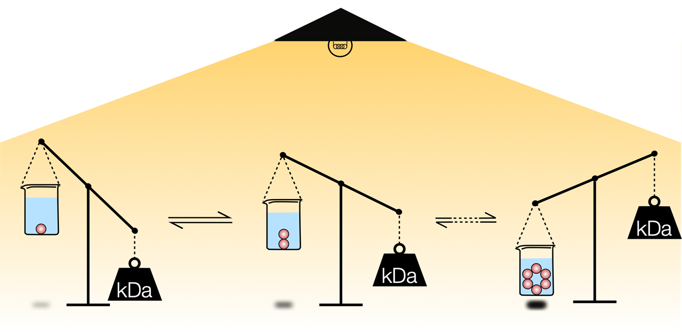 Weighing molecules with light