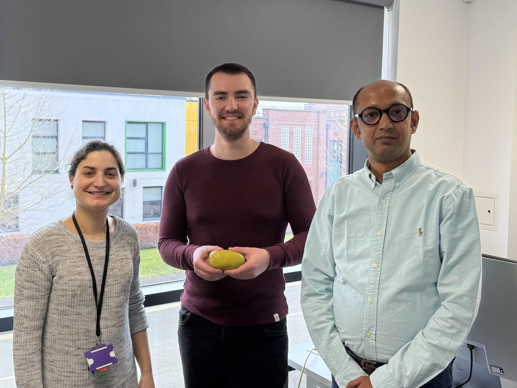 Gene edited potatoes