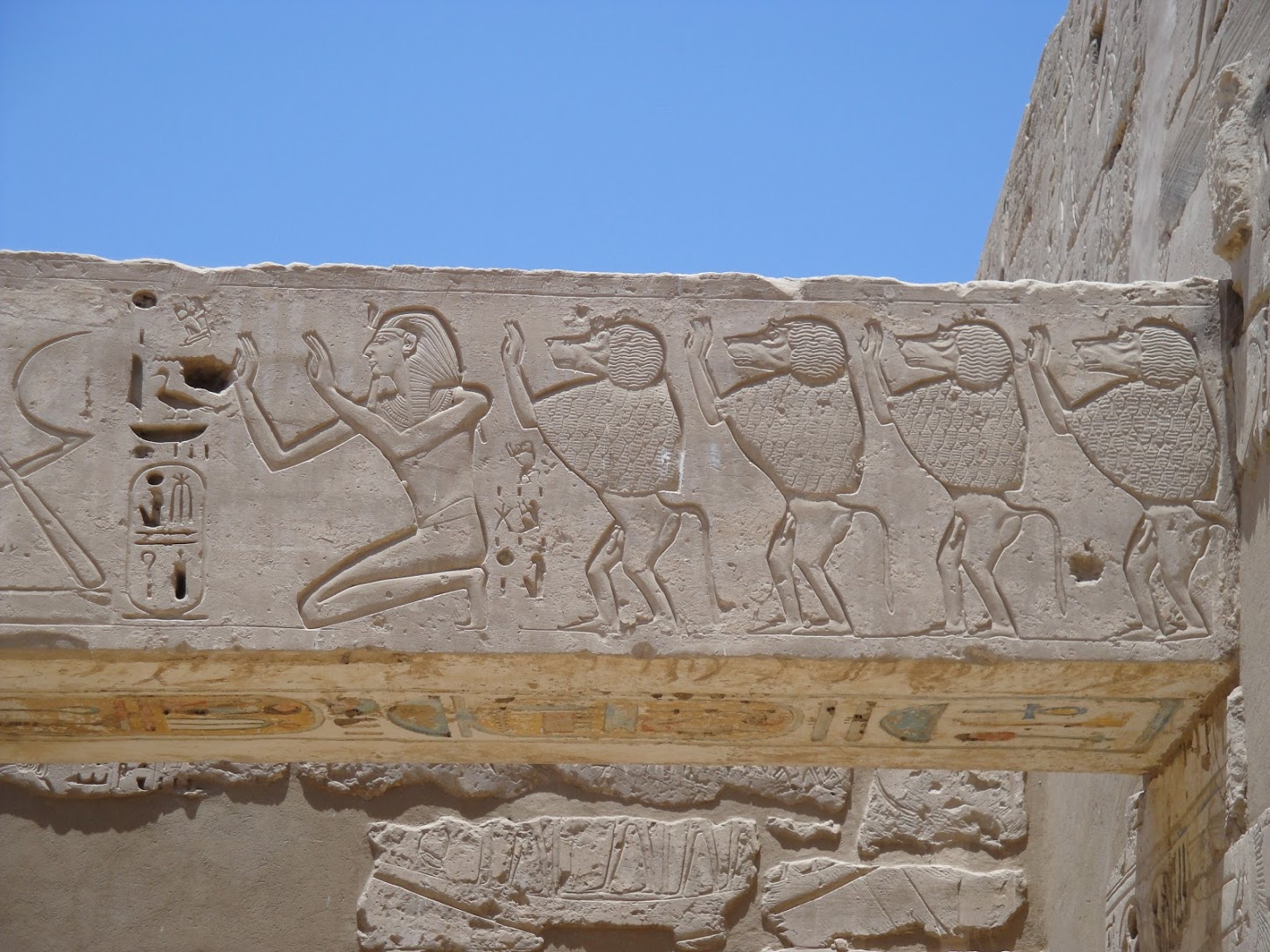 Baboon hieroglyphs 