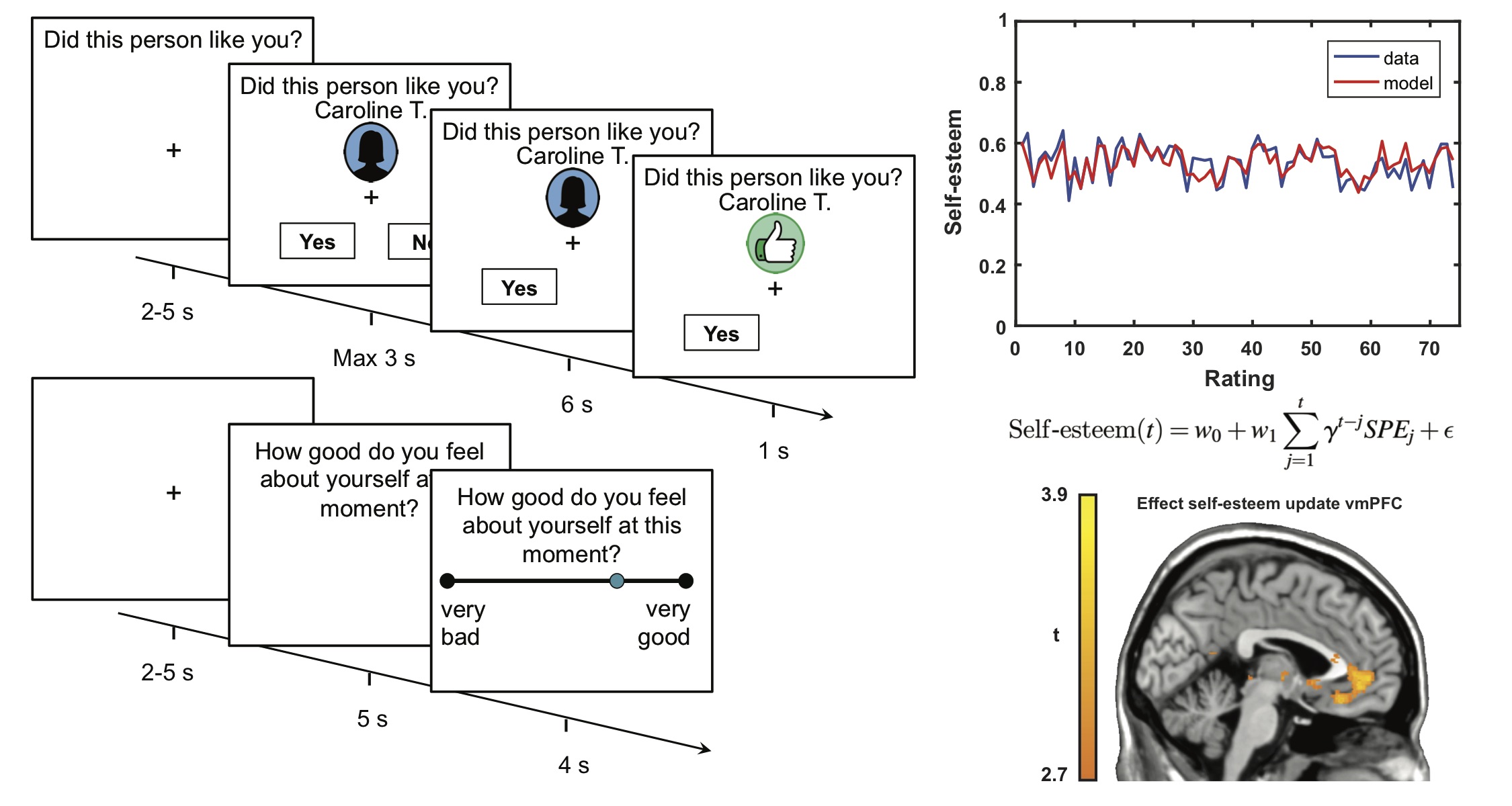 Self-esteem is represented in the ventromedial prefrontal cortex and dynamically updated when people learn how others value them