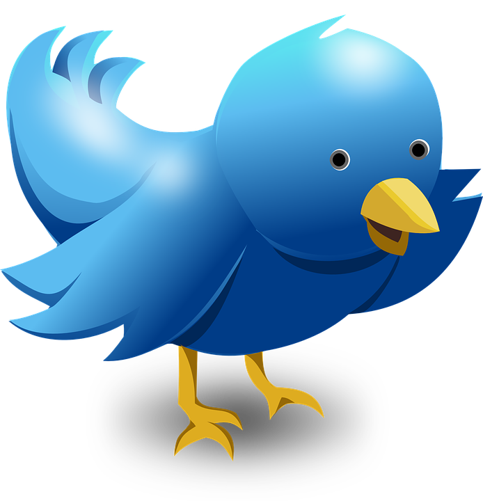 Twitter bird logo