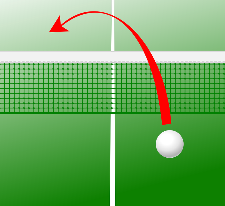A ping pong ball and net schematic