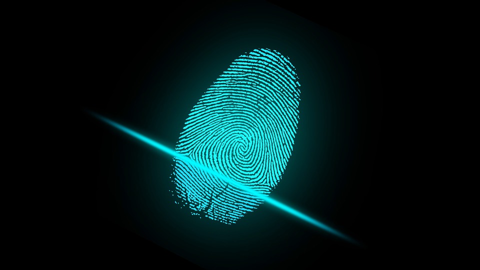 A blue fingerprint on a digital reader.