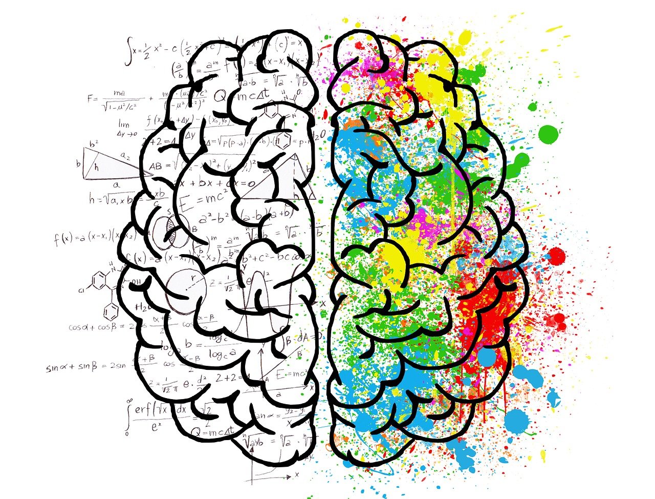 2 hemispheres of the brain