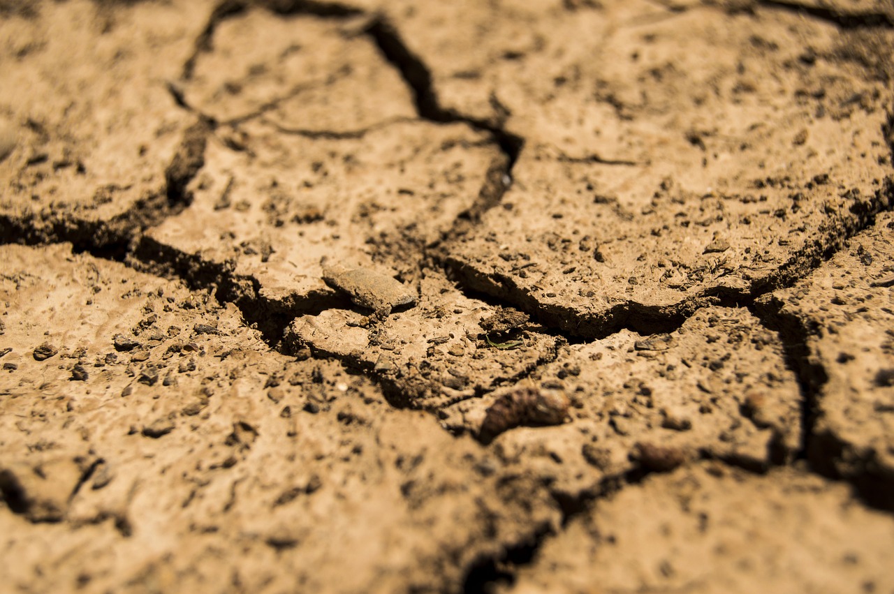 Dry soil, cracked by drought