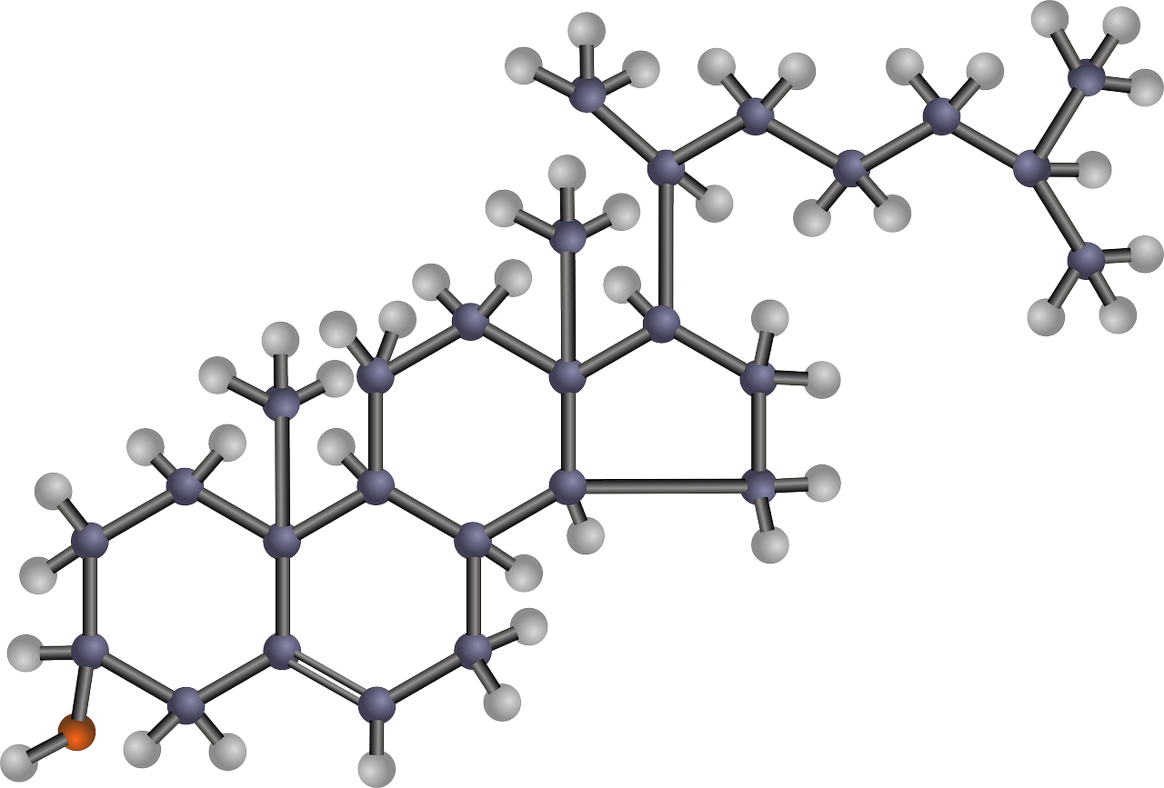 Chemical model of a cholesterol molecule