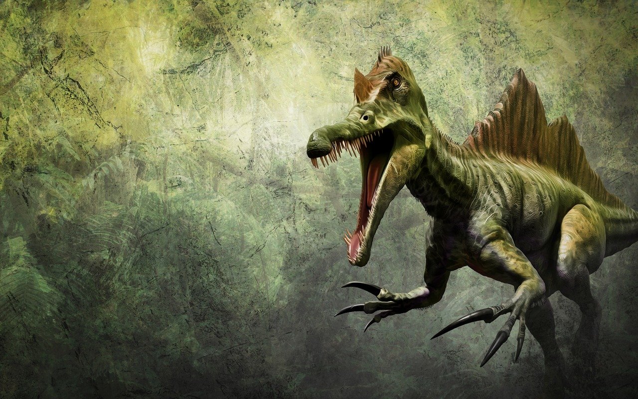 An artist's rendition of a spinosaurus.