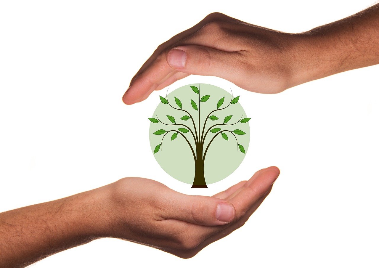 Conservation and good stewardship of the Earth: Two hands cupping a tree