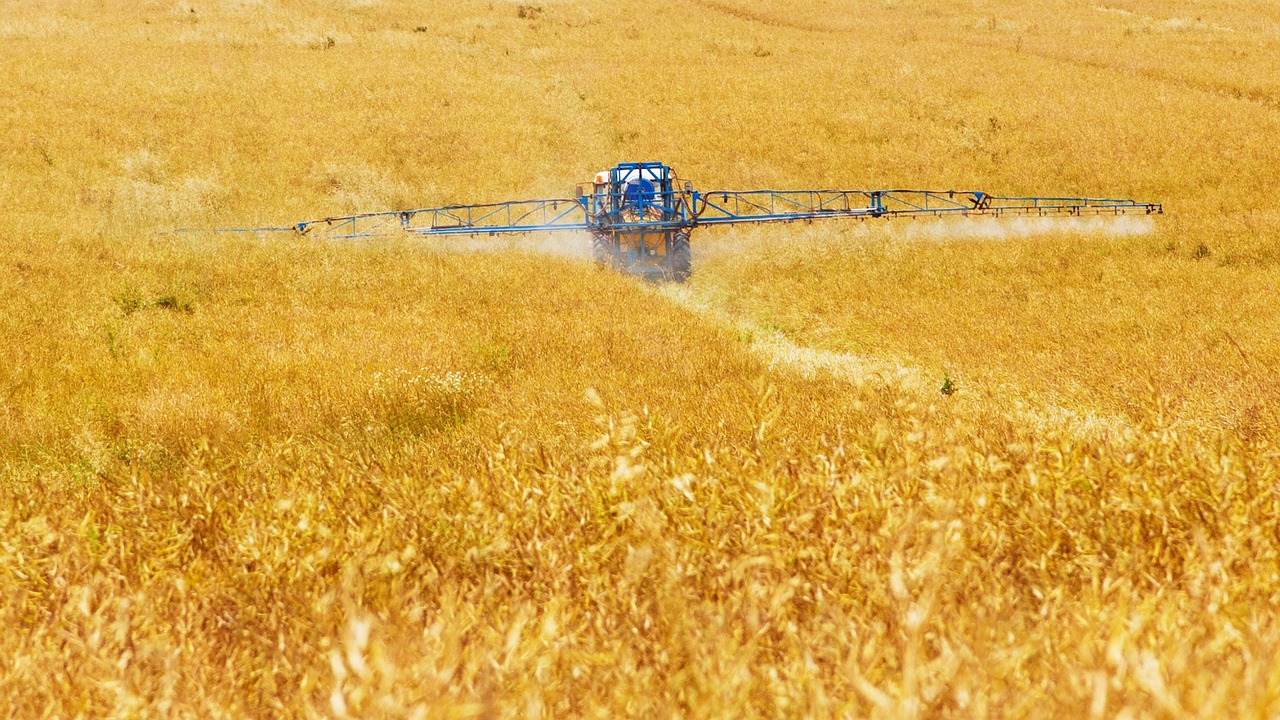 Farmer fertilising wheat