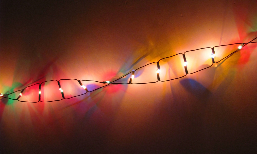 Strand of DNA