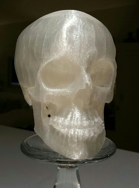 Skull 3d printed in polylactic acid (PLA)