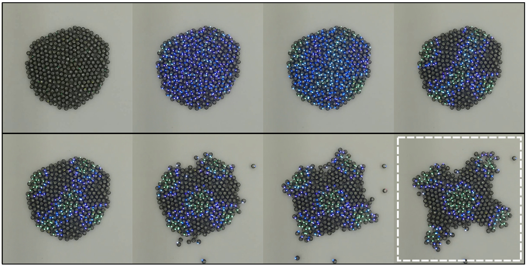 Emergence of different swarm shapes via a Turing pattern