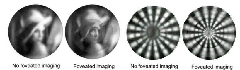 A foveated image is sharp in the centre and less focused towards the edges. 