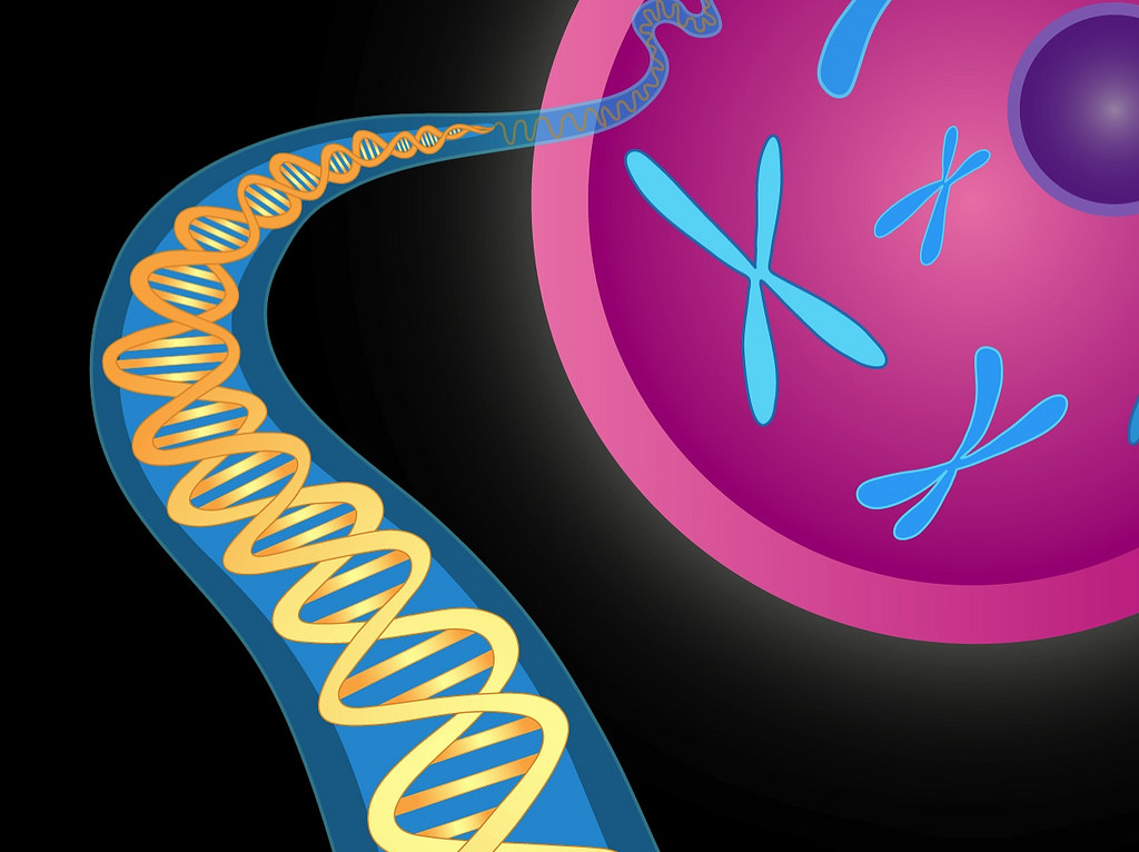 DNA