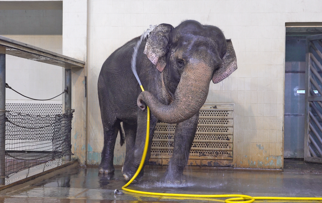 Mary, showering