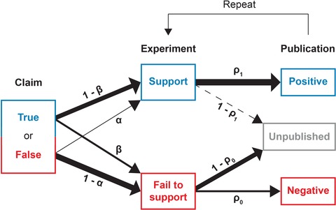 A model to test the impact of publication bias.