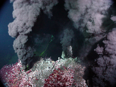Deep sea hydrothermal vent