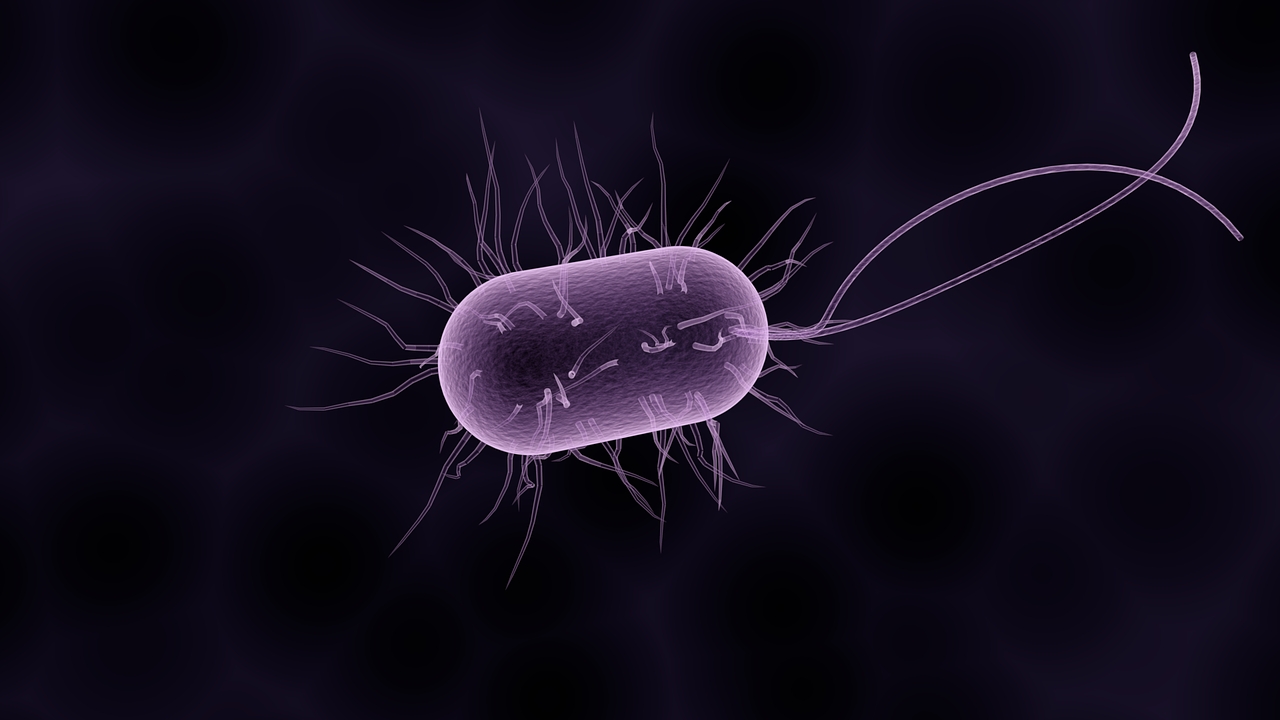 Artist's impression of a bacterium