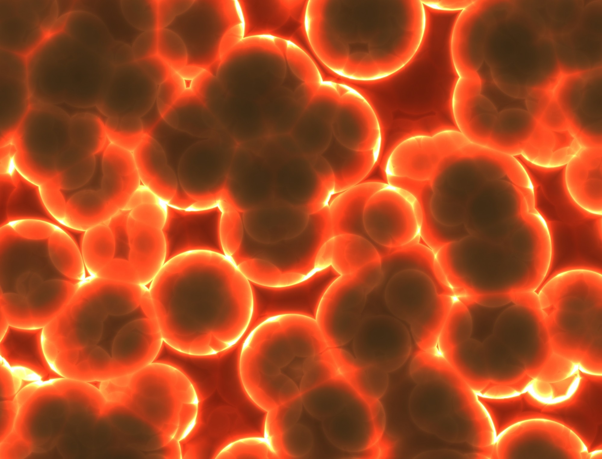 Intestinal (gut) microbes (bacteria)