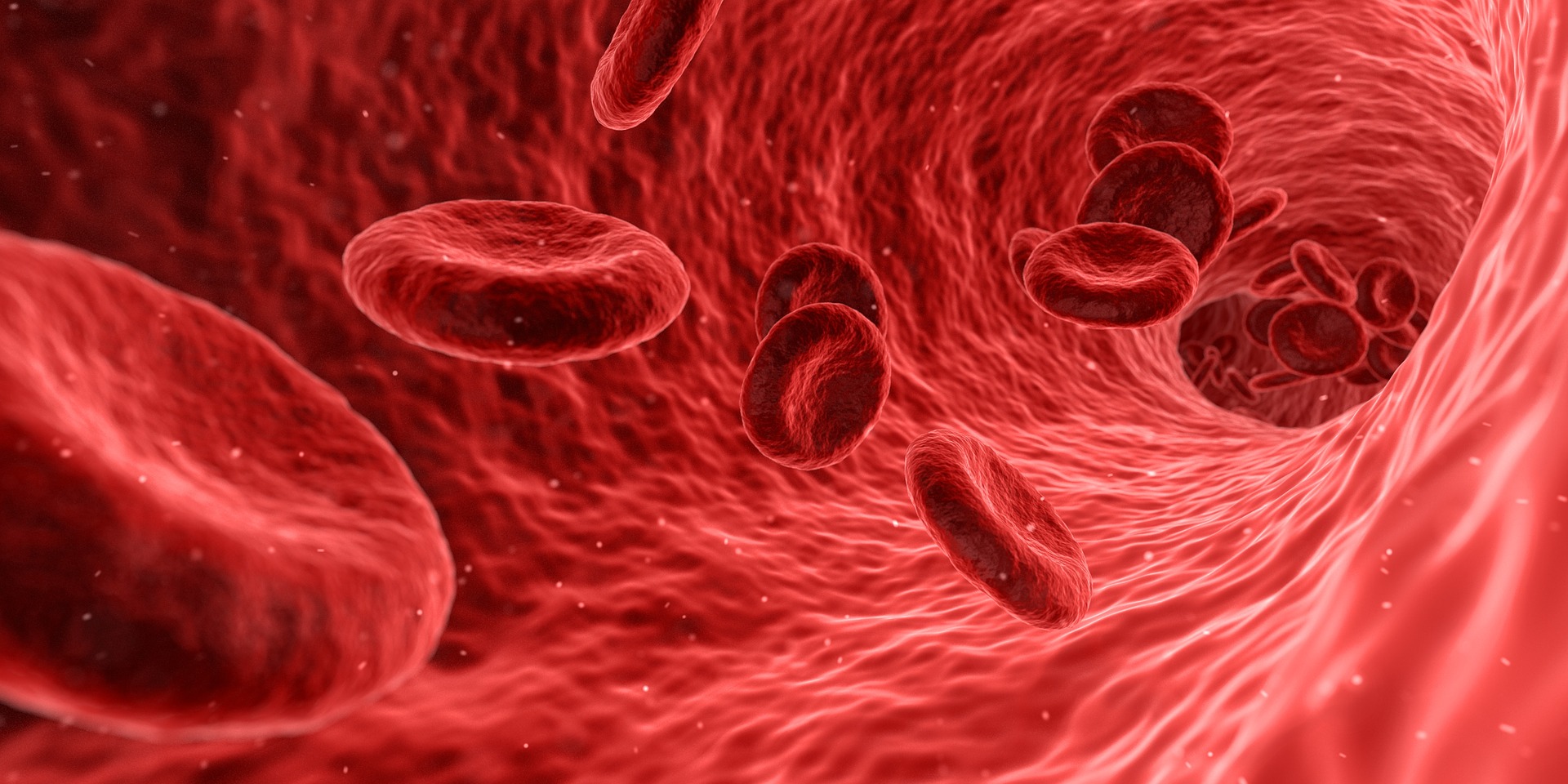 Computer generated image of Red blood cells travelling in a blood vessel