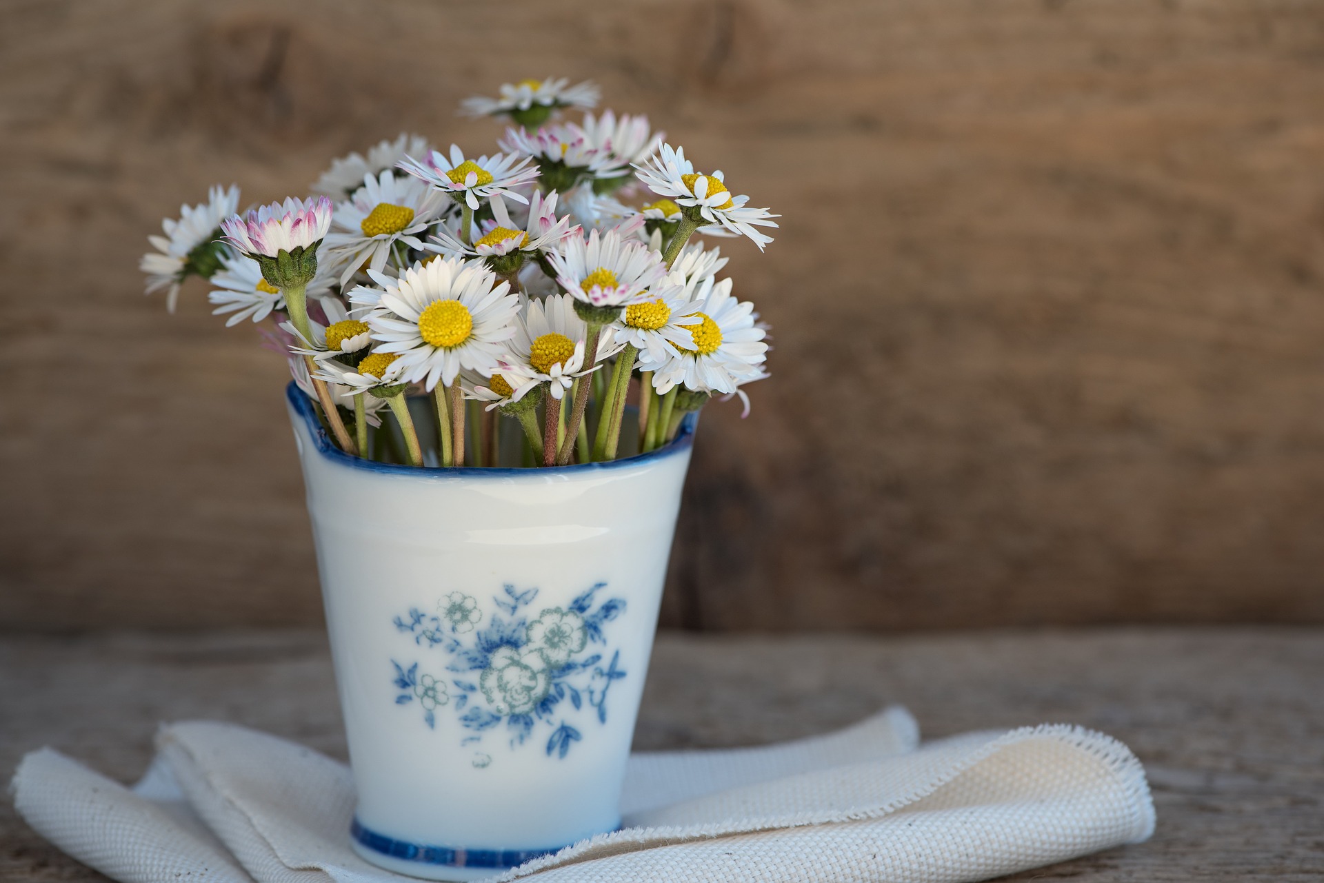 daisies