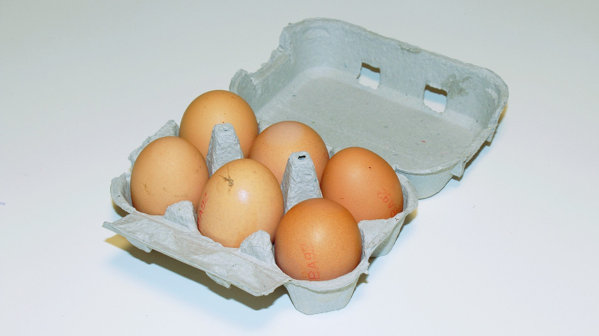 eggs