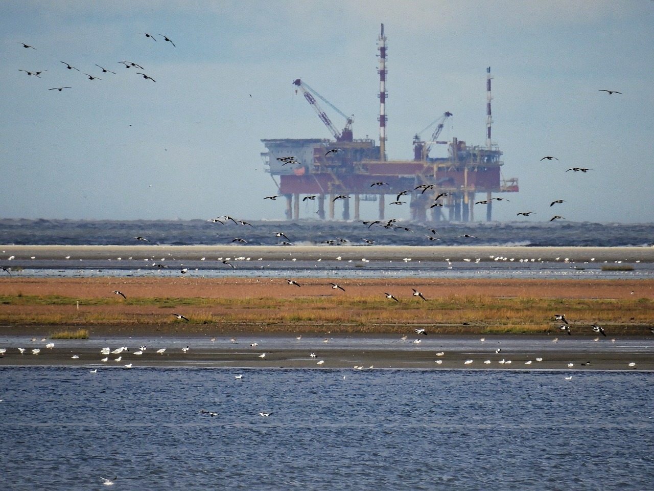Oil rig on the coastline
