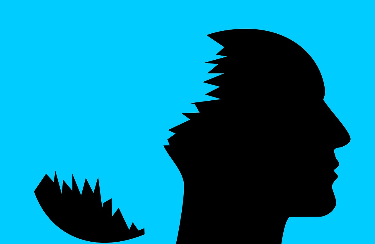 A head with a segment missing