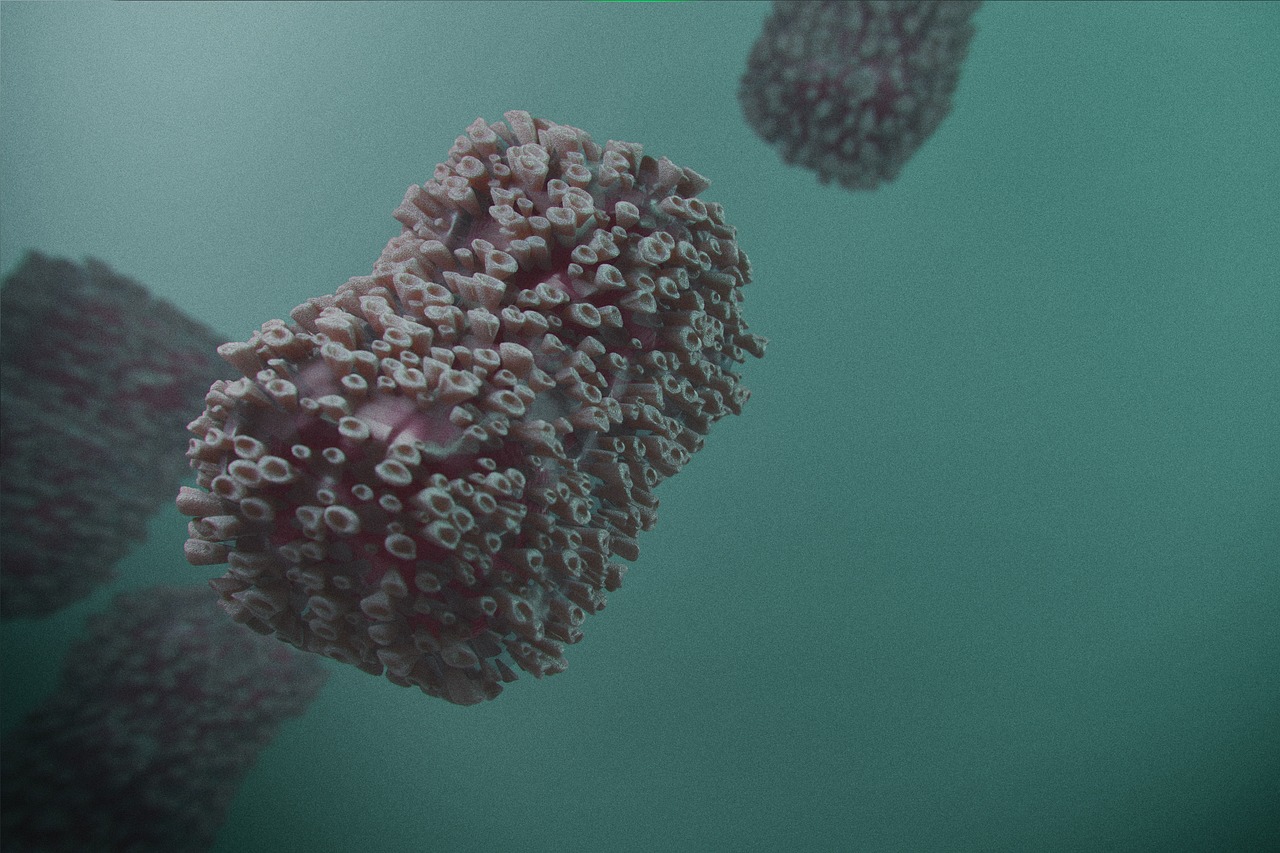 Mpox virus