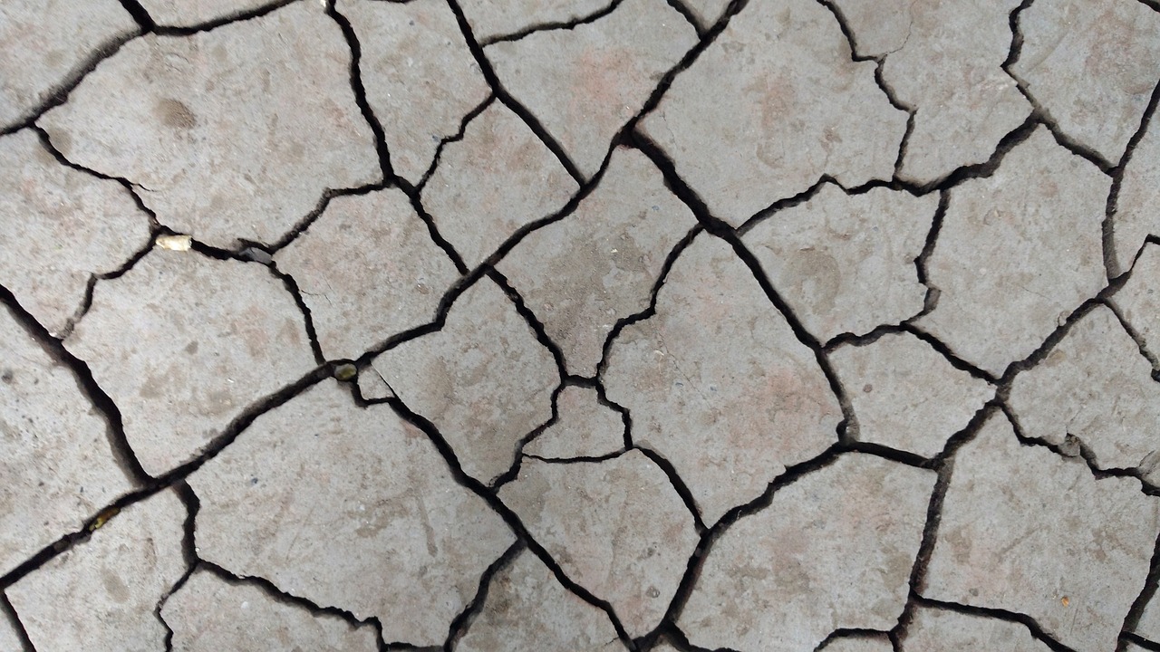Cracked Earth