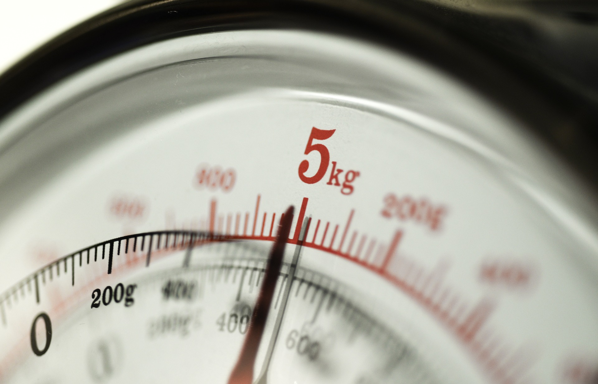 5kg shown on the dial of a scale.