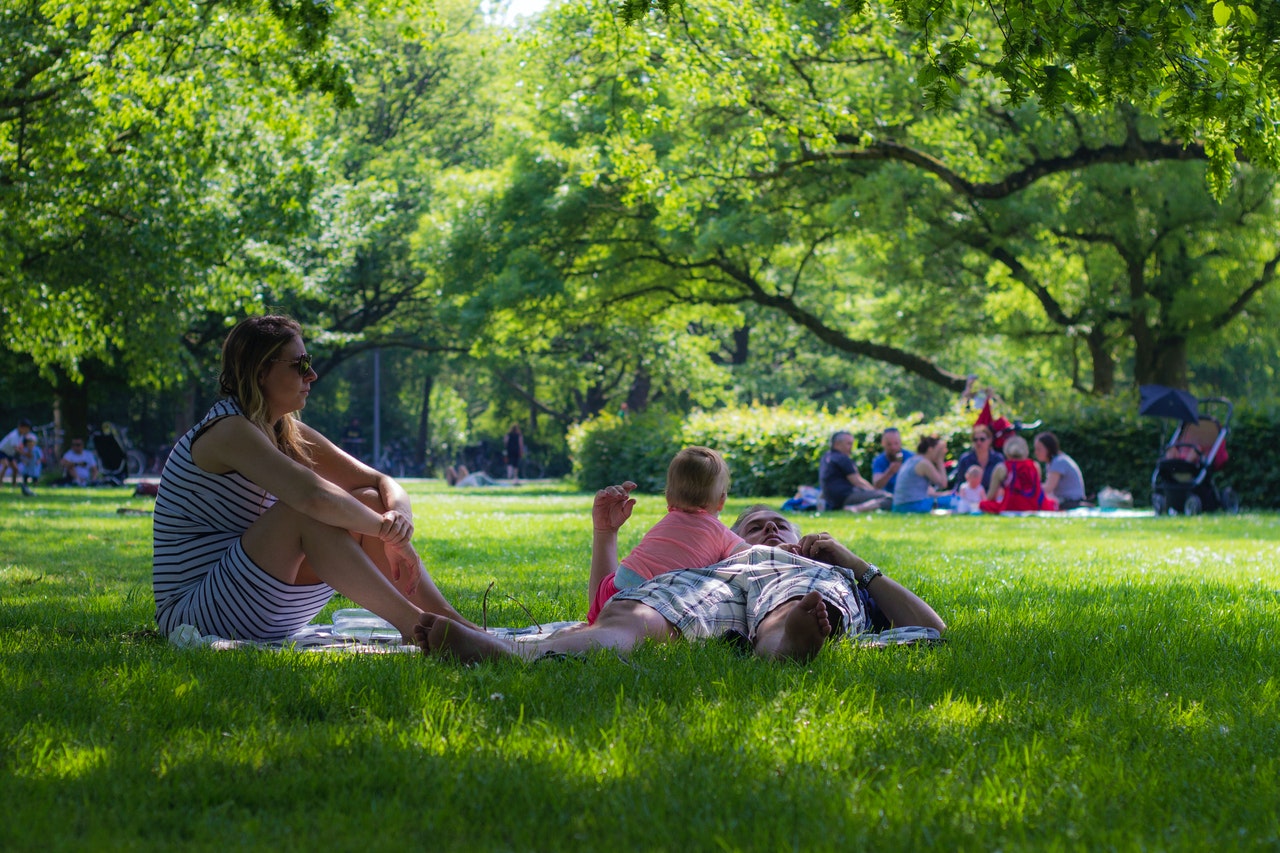 Families and groups of people sitting on the grass in a park.