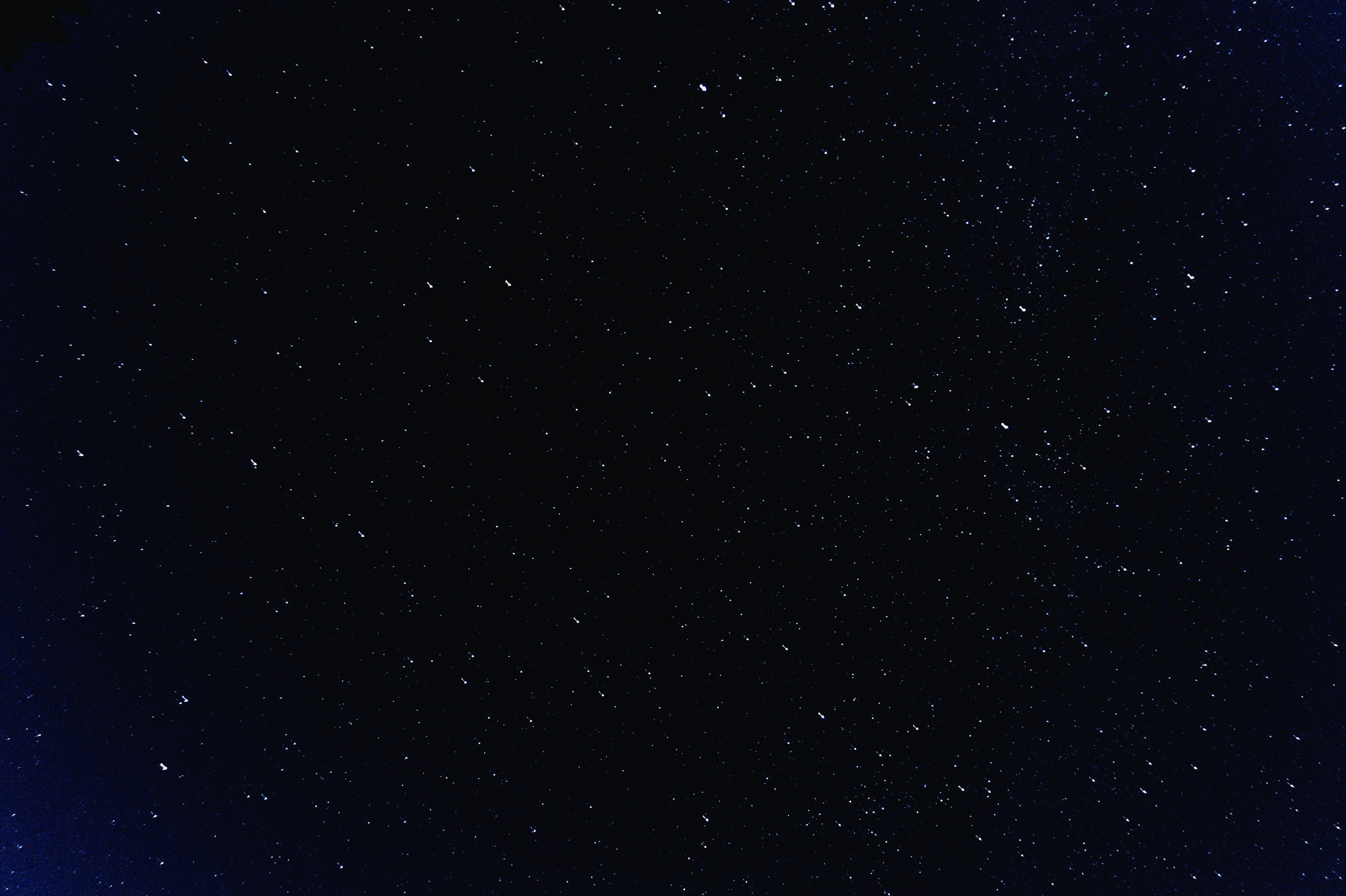An array of stars in the night sky