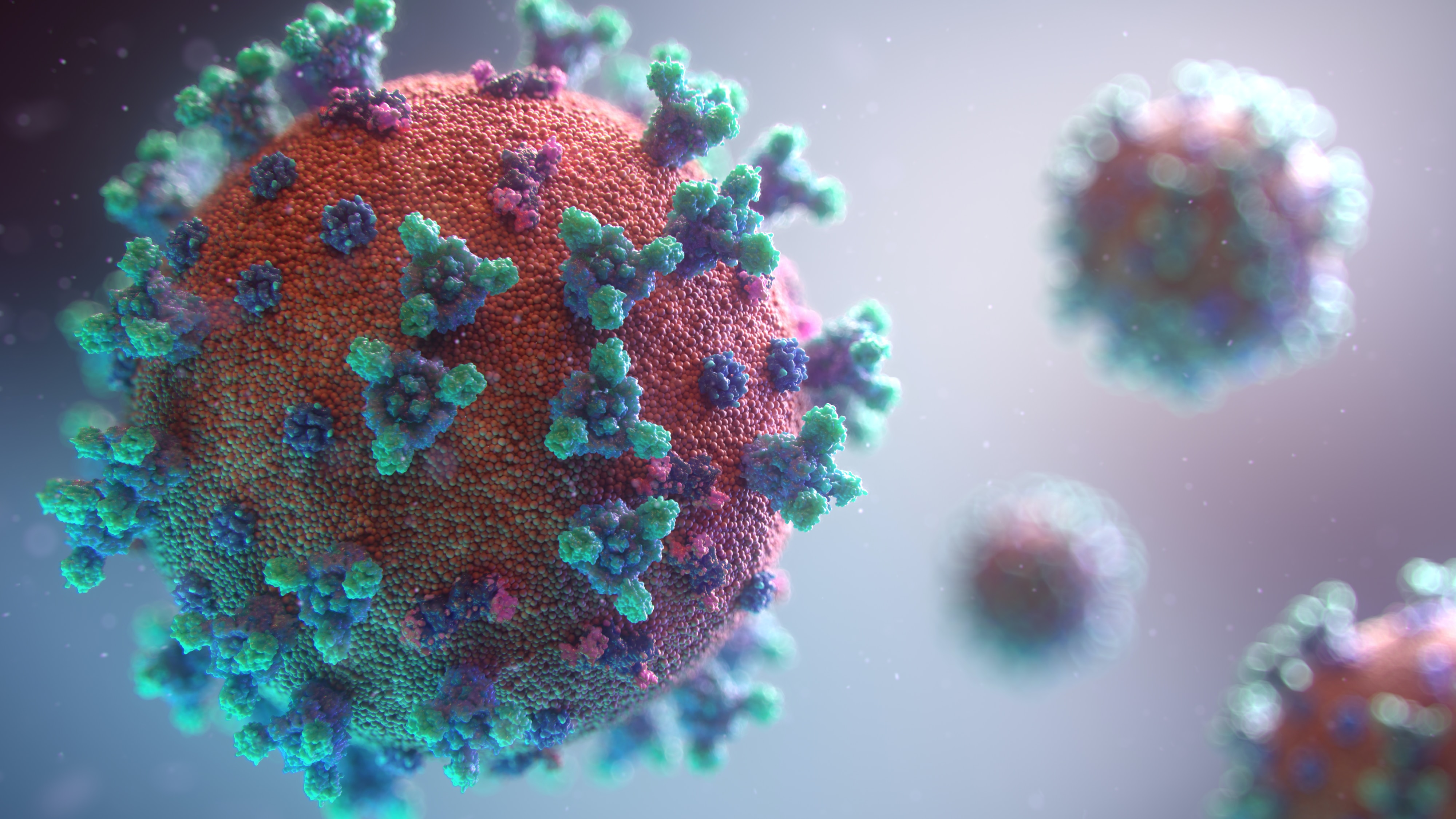 An artist impression of a coronavirus particle