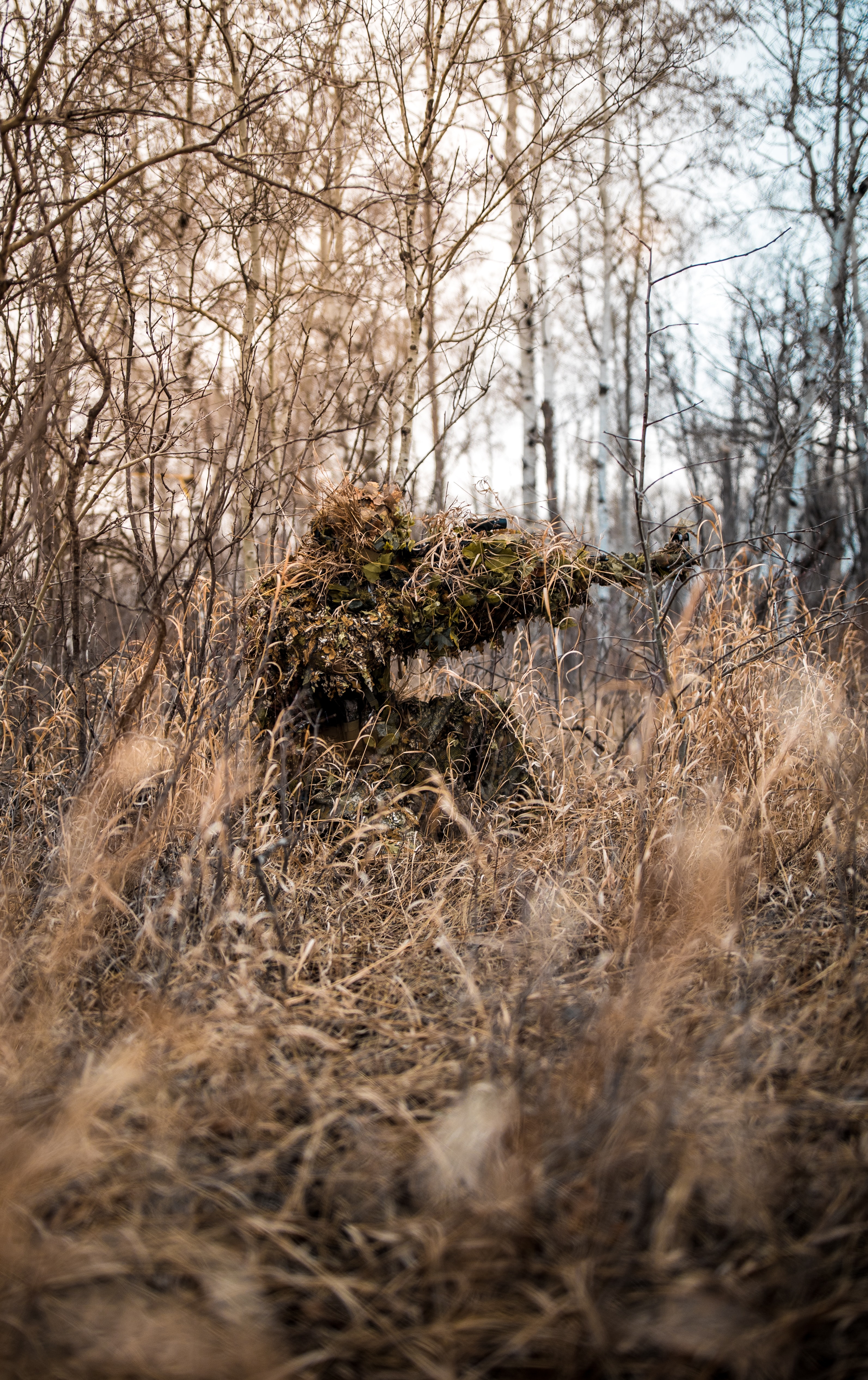 A soldier in the forest