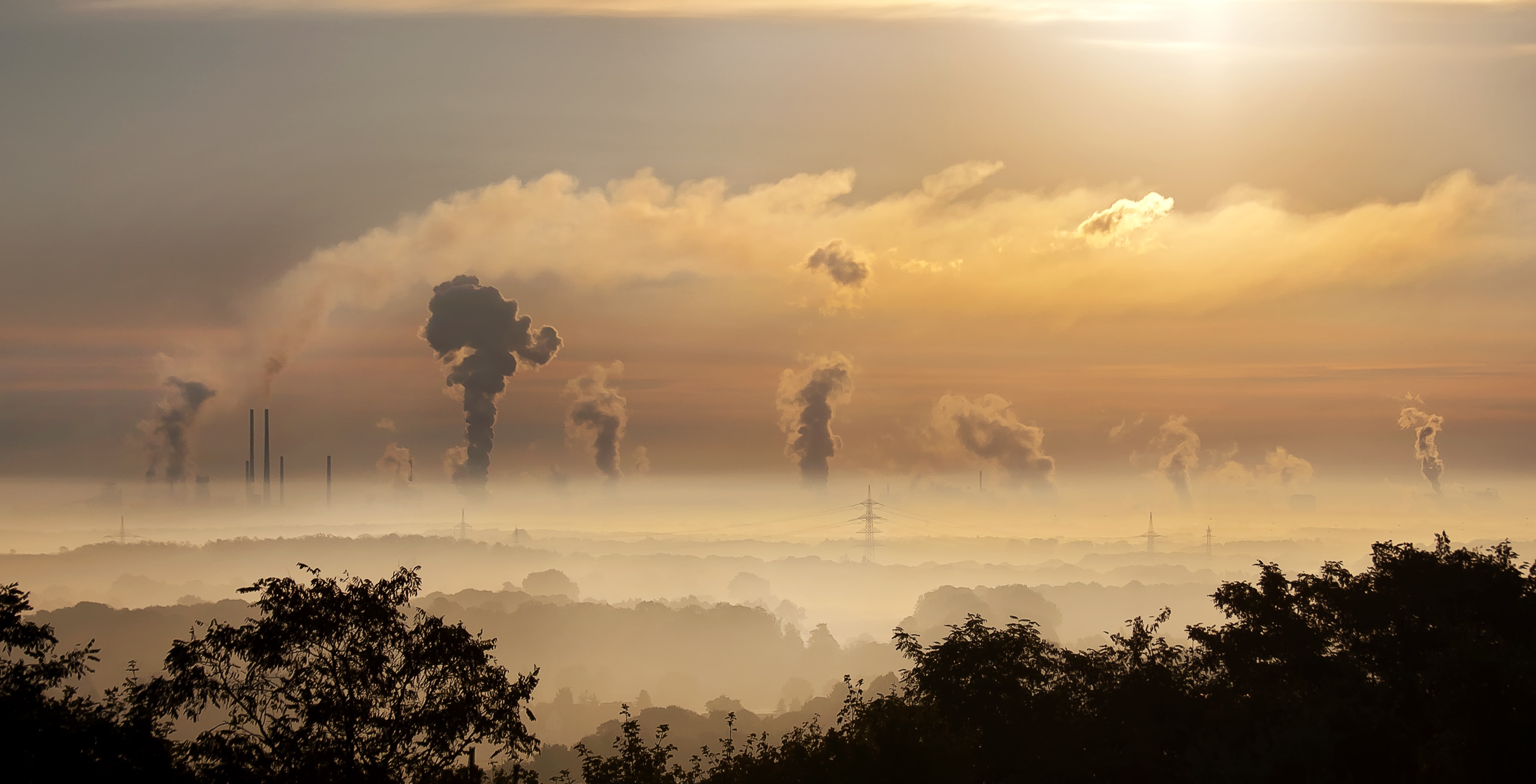 Polluted sky, silhouettes of trees and electricity pylons