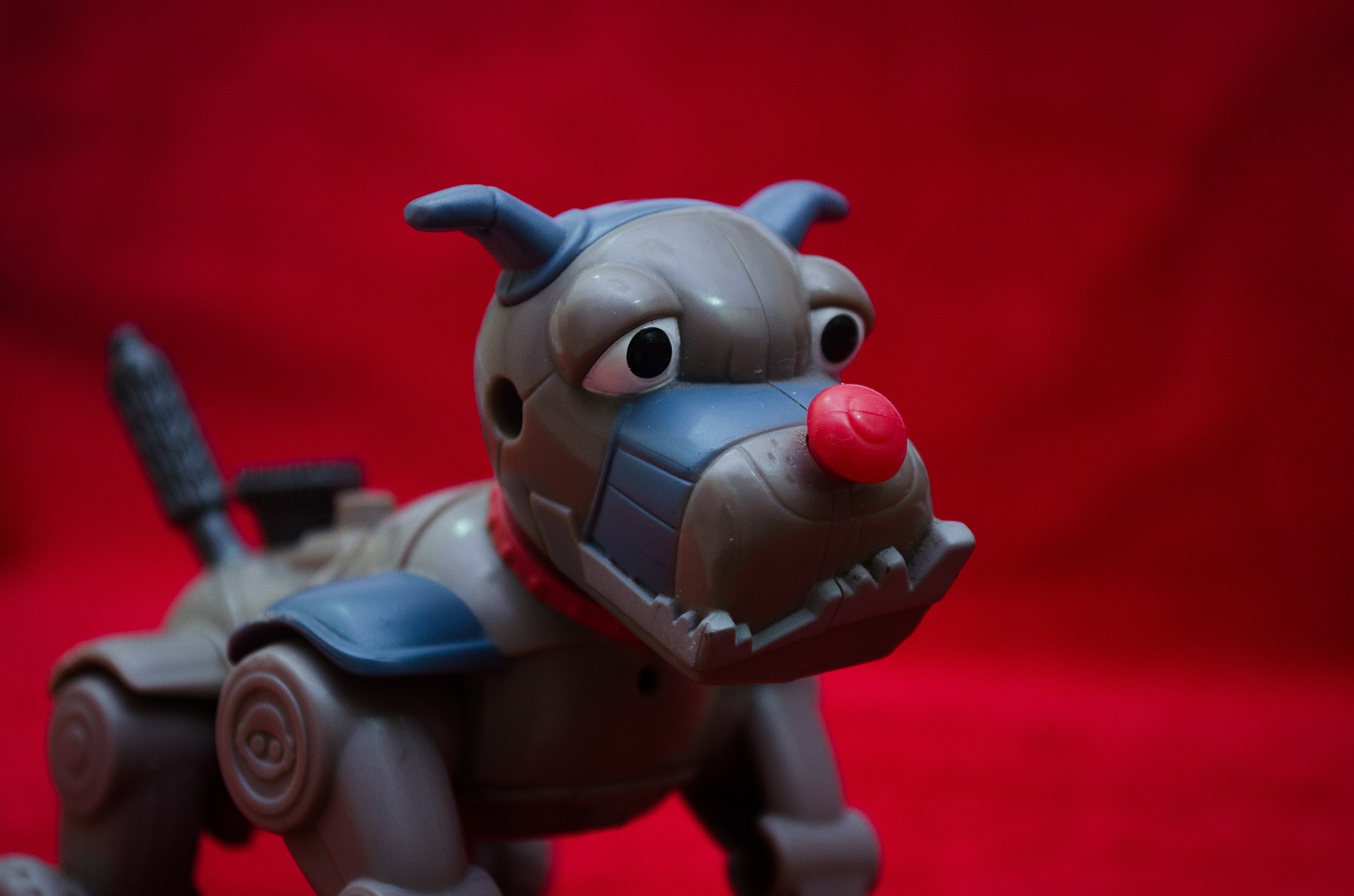 robot dog